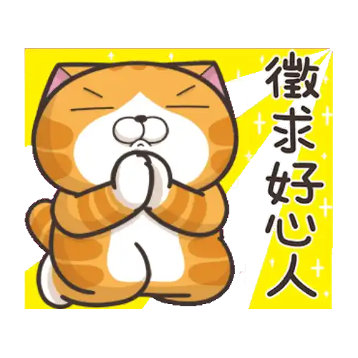 白爛貓☆金促咪☆係金A貼圖