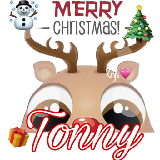 MERRY
CHRISTMAS!
Krys
Tonny