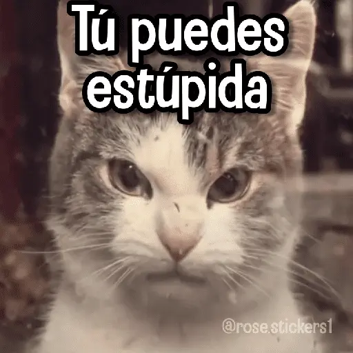 Memes con Frases #2🧠 2
