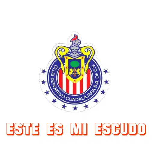 CHIVAS GUADALAJARA 14