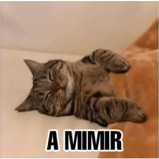 Ya no soy admin 27