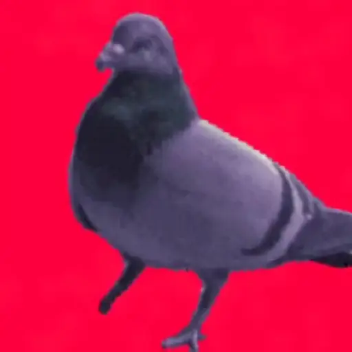 🎵 TIKTOKeando 36🎵 16