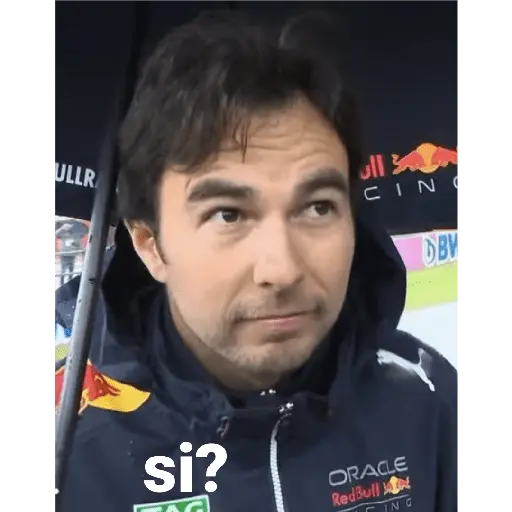 formula 1 17