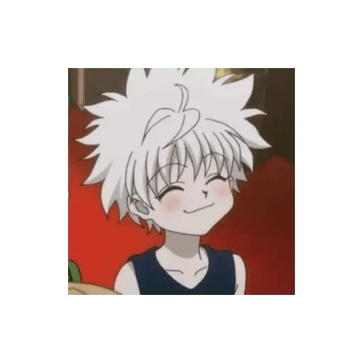 Killua/anime 5