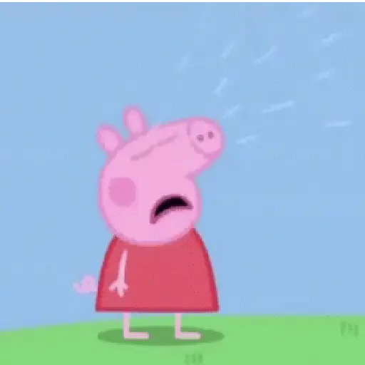 🐽 Peppa pig 🐷 15