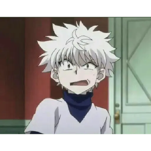 hunter x Hunter 20