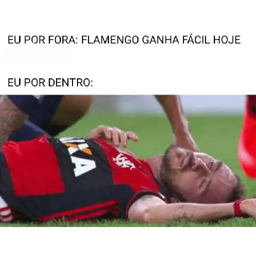 flamengo memee 19
