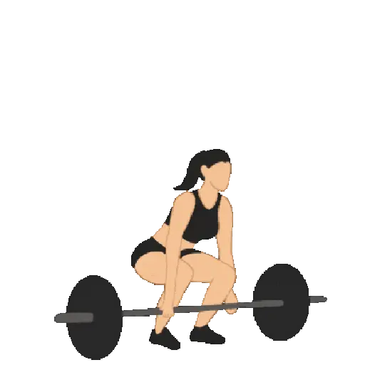 GYM TREINO ACADEMIA 3