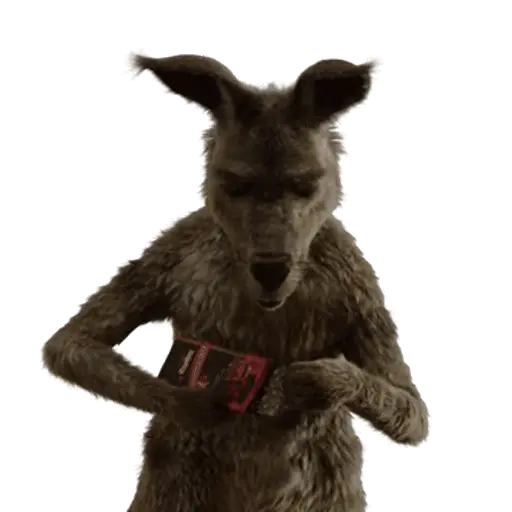 Team Canguro Viral TikTok 🦘📸 6