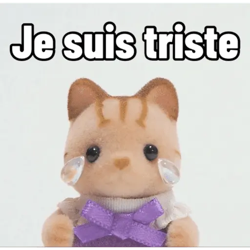 Ternurines en francés 14