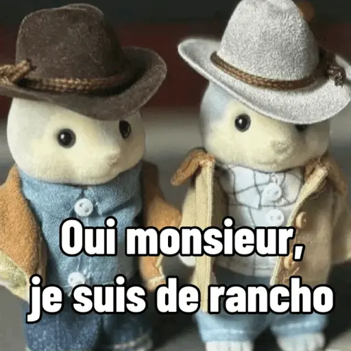 Ternurines en francés 3