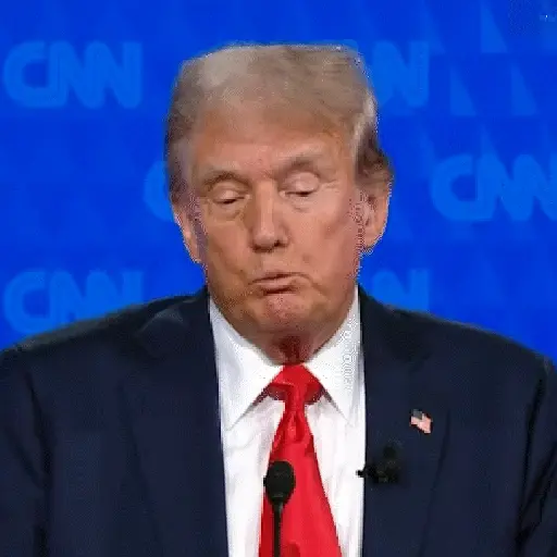Donald Trump 3