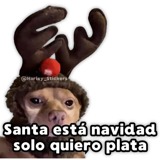 Perritos Navideños 3