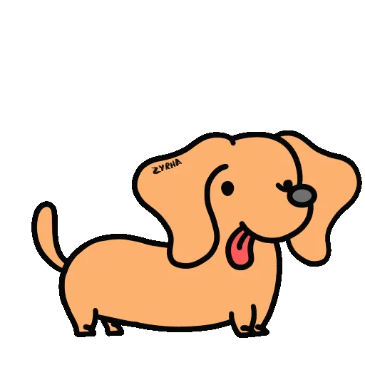 Perro Bachicha 12