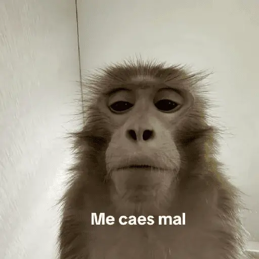 Memes 32 6