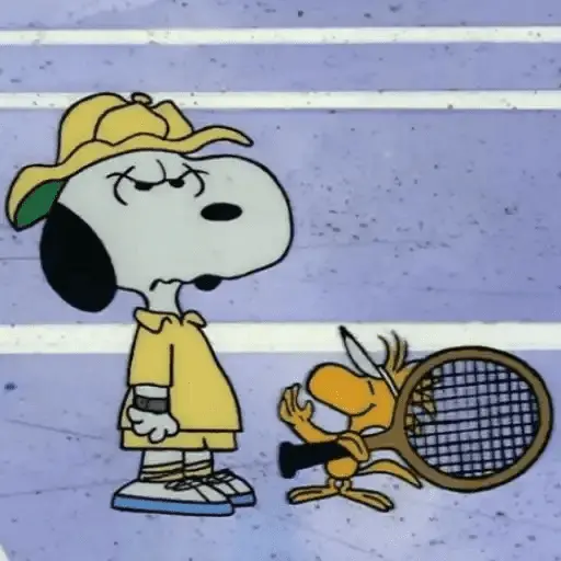🐾Snoopy enojado 😡 3 🦴 26