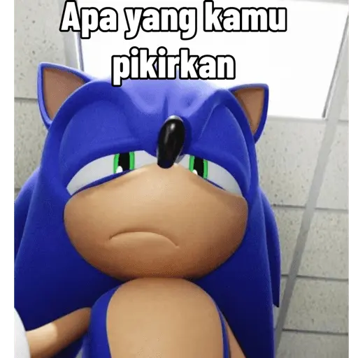 Meme Sonic Lucu 12
