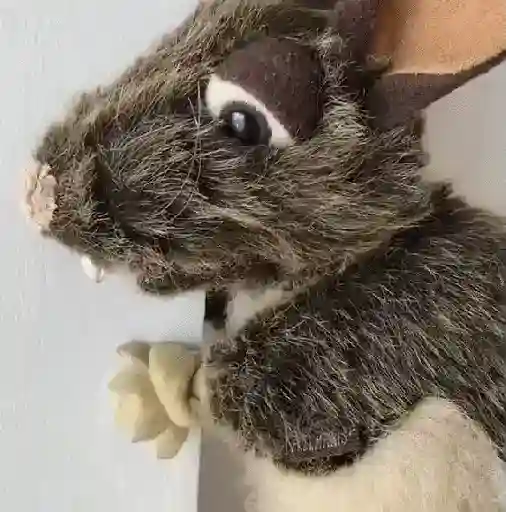 Rata triste de TikTok Meme😞🐭🐁