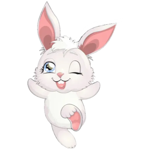 bunnies 💗 14