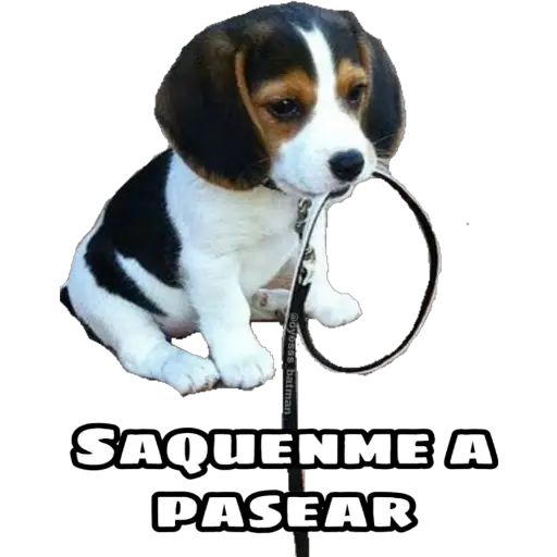 Maldito Covid 10