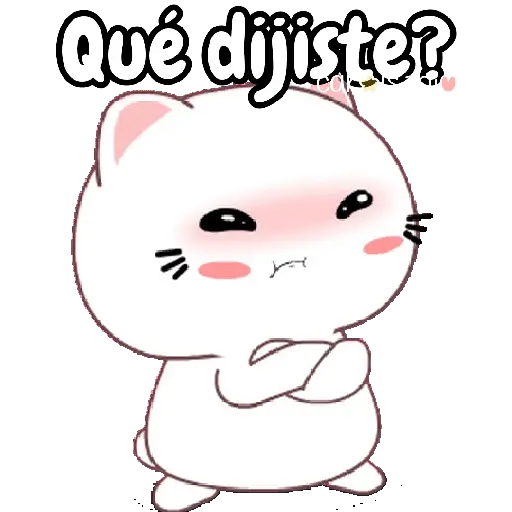 cute cats 🐱🩷🩵🐈 12