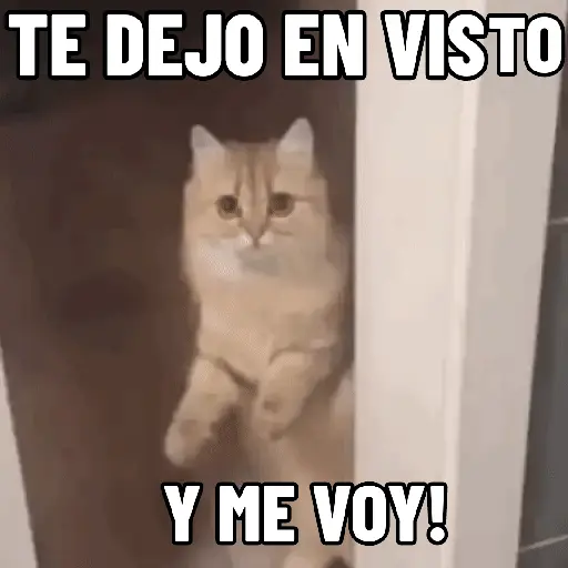 NO ME DEJES EN VISTO ✔️✔️😾