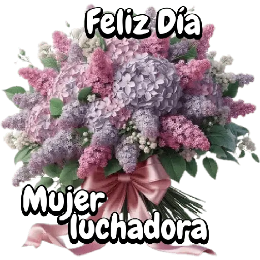 Feliz Dia Mujer luchadora