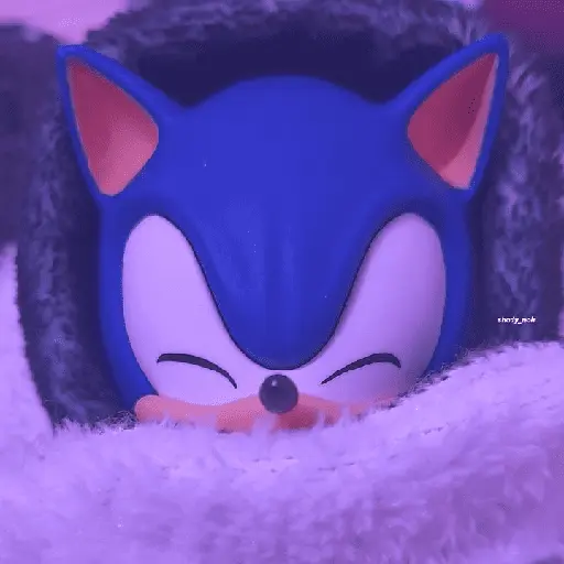 sonic expression meme 💙😼 20