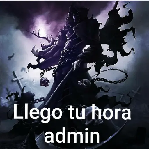 soy admin 13