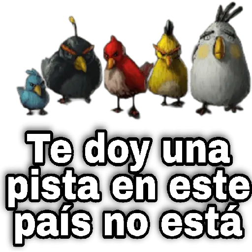 Memes Angry birds 🕳️🐦😶🌫️ 12
