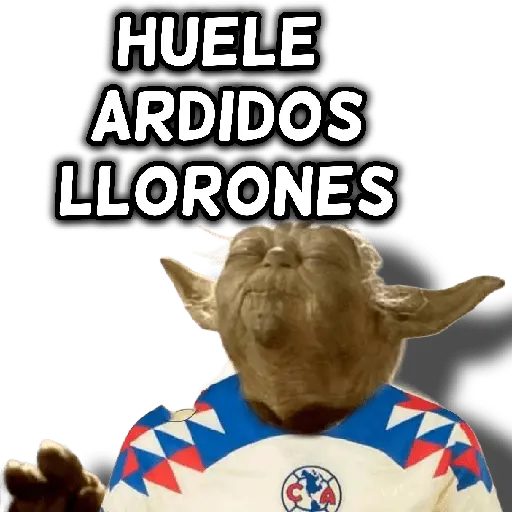 América 👑⚽ 21