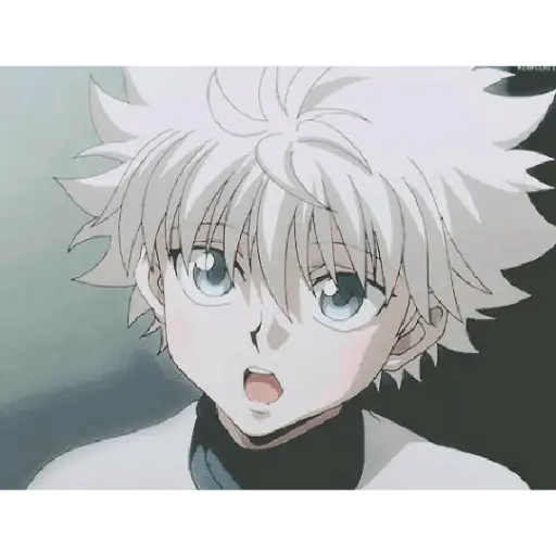 hunter x Hunter 8