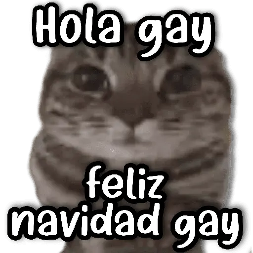Memes Navideños #2 🎄 6