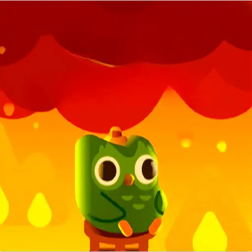 Duolingo 12