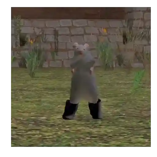 Rata bailando 🐀 2
