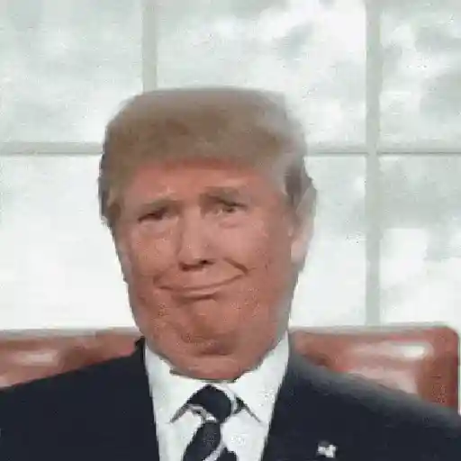 Donald Trump 4