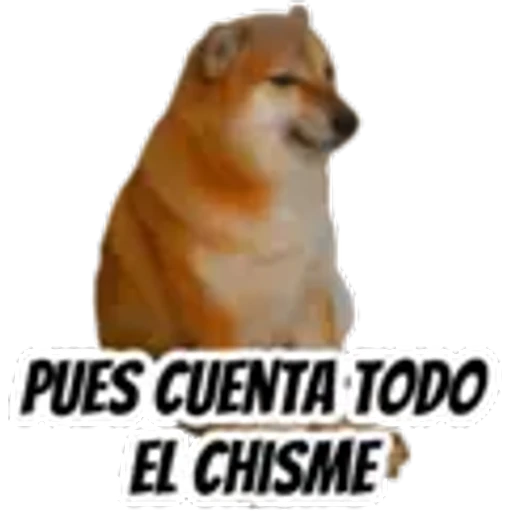 PUES CUENTA TODO
EL CHISME