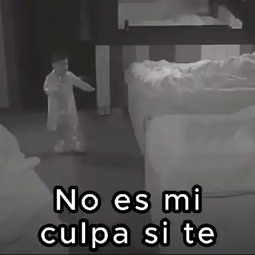 Abelito LCDLFMX3 Team Abelito🏠 17