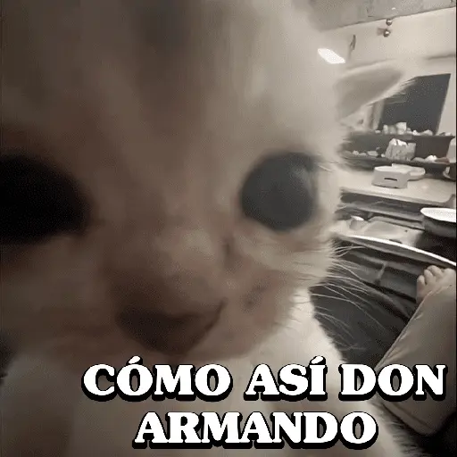 Memes 32 22