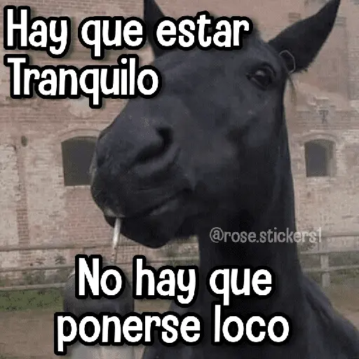 Memes con Frases #2🧠 5