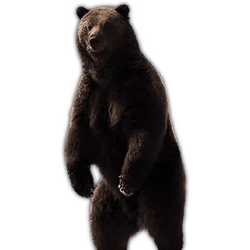 🐻🦓🦁Otorrinolaringólogo ❤️🔥🤤 6