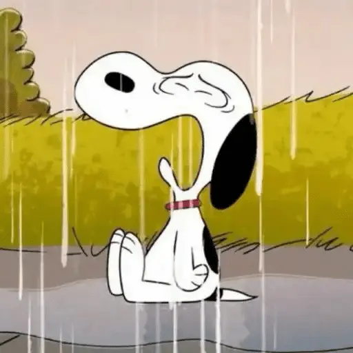 🐾Snoopy enojado 😡 3 🦴 2