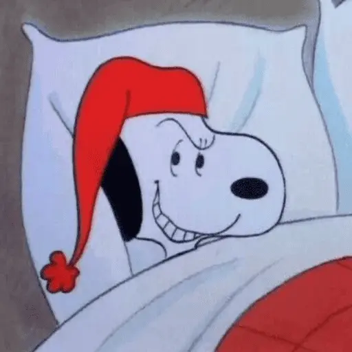 🐾•🏡Snoopy🏡•🐾 5