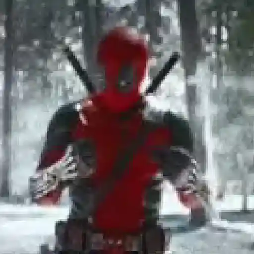 Deadpool × Wolverine 14