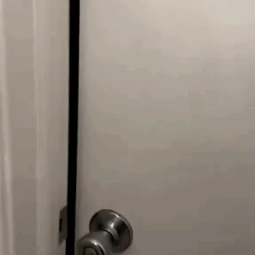 Bebés divertidos 👶🏼 11