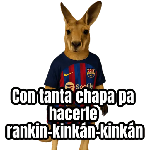 🦘Memes canguro 🦘😂 14