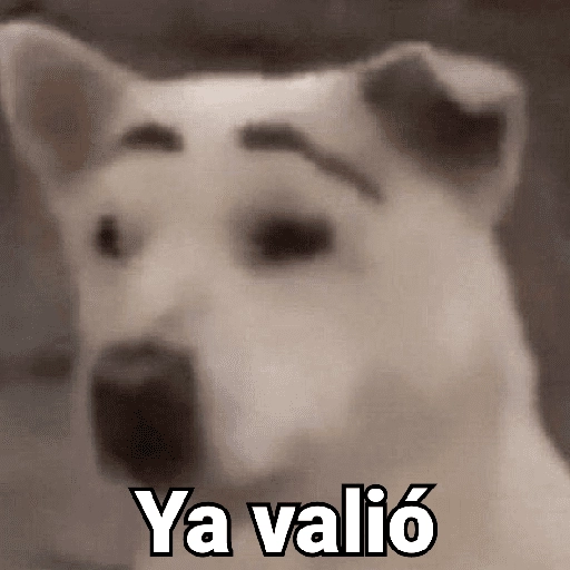 Waos - Perro con cejas🐶 15