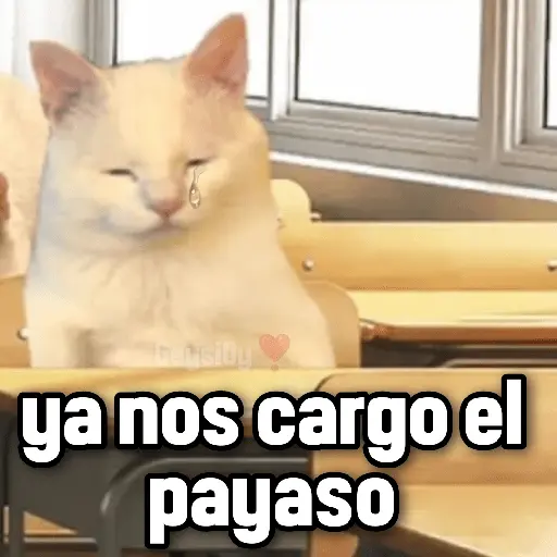 💫 conTrabajo estudio 🤣❣️ 9