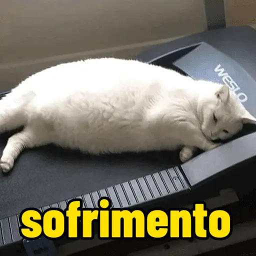 WESLO sofrimento