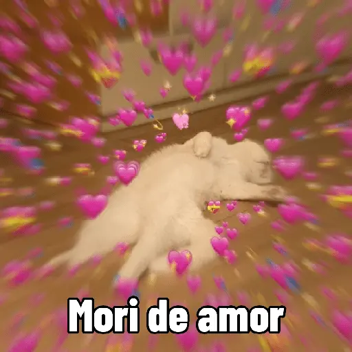 Mori de amor